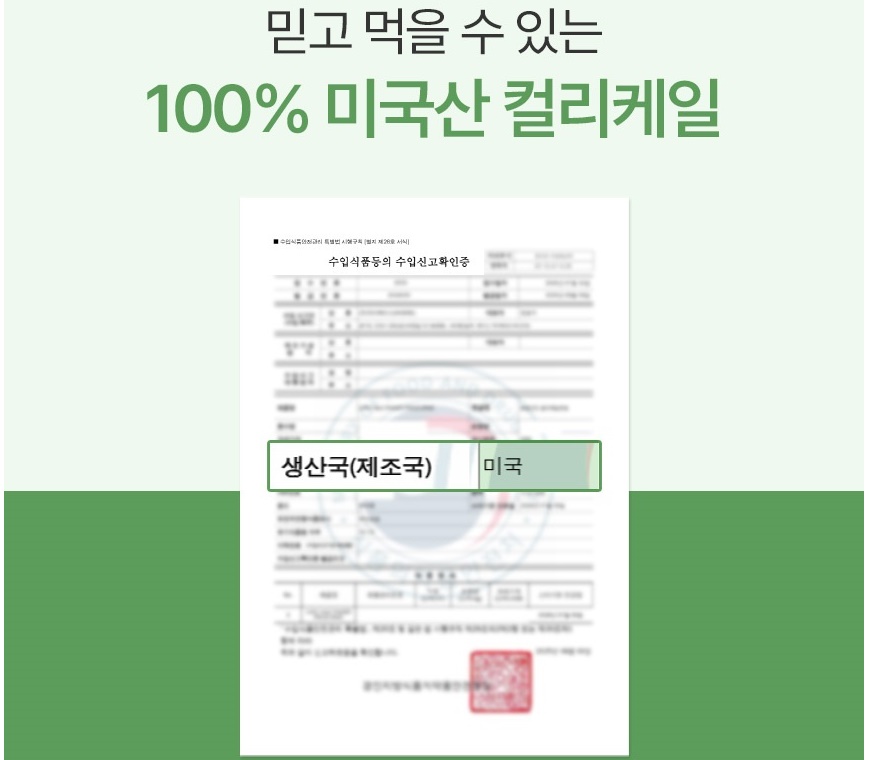 케일 동결건조 컬리케일 분말 120g 이미지 6