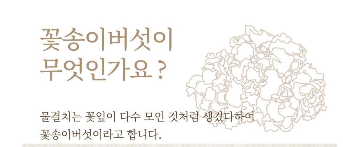 최상품 꽃송이버섯 생꽃송이버섯 1kg 2개 - 상세 이미지 3