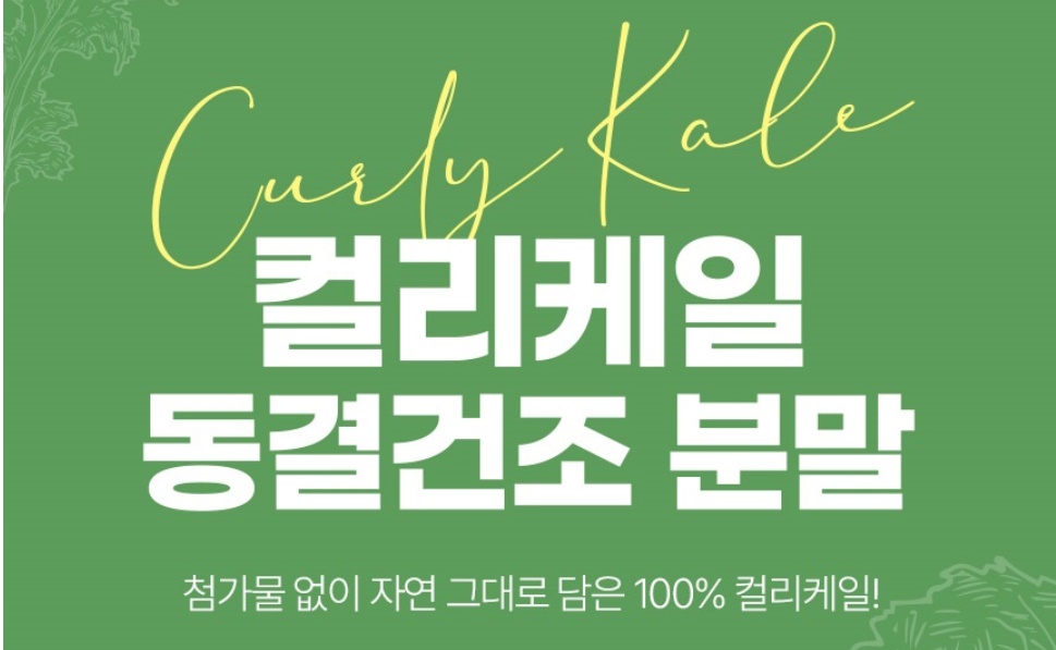 케일 동결건조 컬리케일 분말 60g - 상세 이미지 3