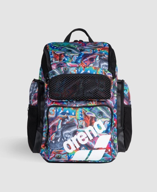 아레나 One Go Backpack 45L - 메인 이미지