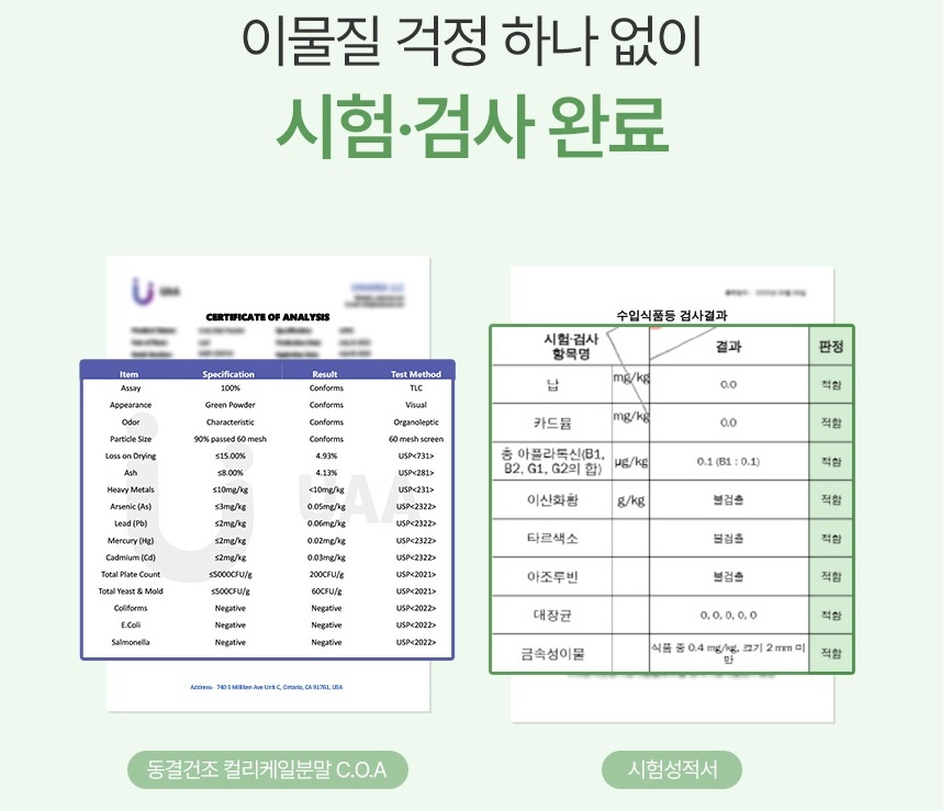 케일 동결건조 컬리케일 분말 120g 이미지 8