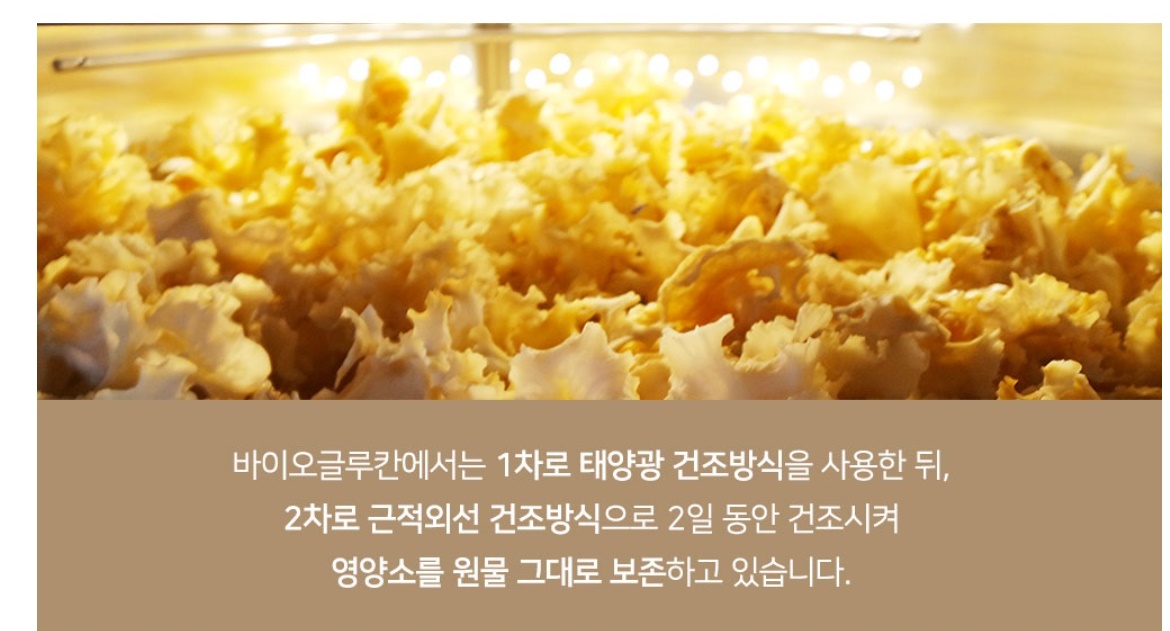 황금 건조꽃송이버섯 꽃송이버섯 100g - 상세 이미지 4