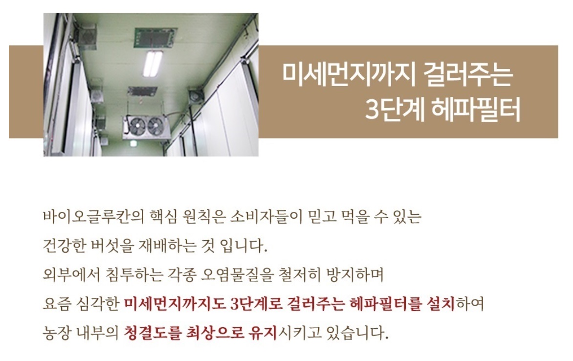 생꽃송이버섯 최상품 꽃송이버섯 1kg - 상세 이미지 4