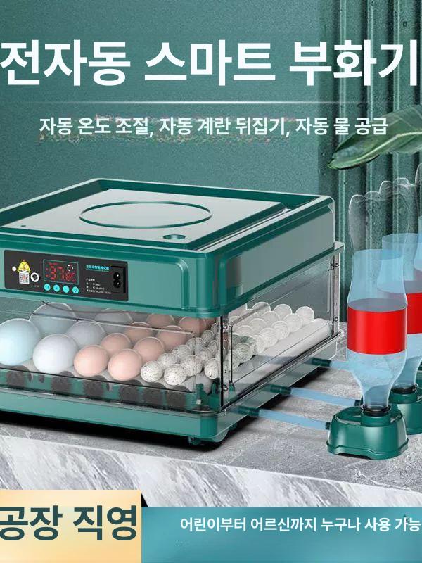 스마트 계란부화기 조류 메추리알 교육 반자동 메추리 가정용 유정란 메츄리 병아리부화기 30알 이중 전원 전자동 - 상세 이미지 2