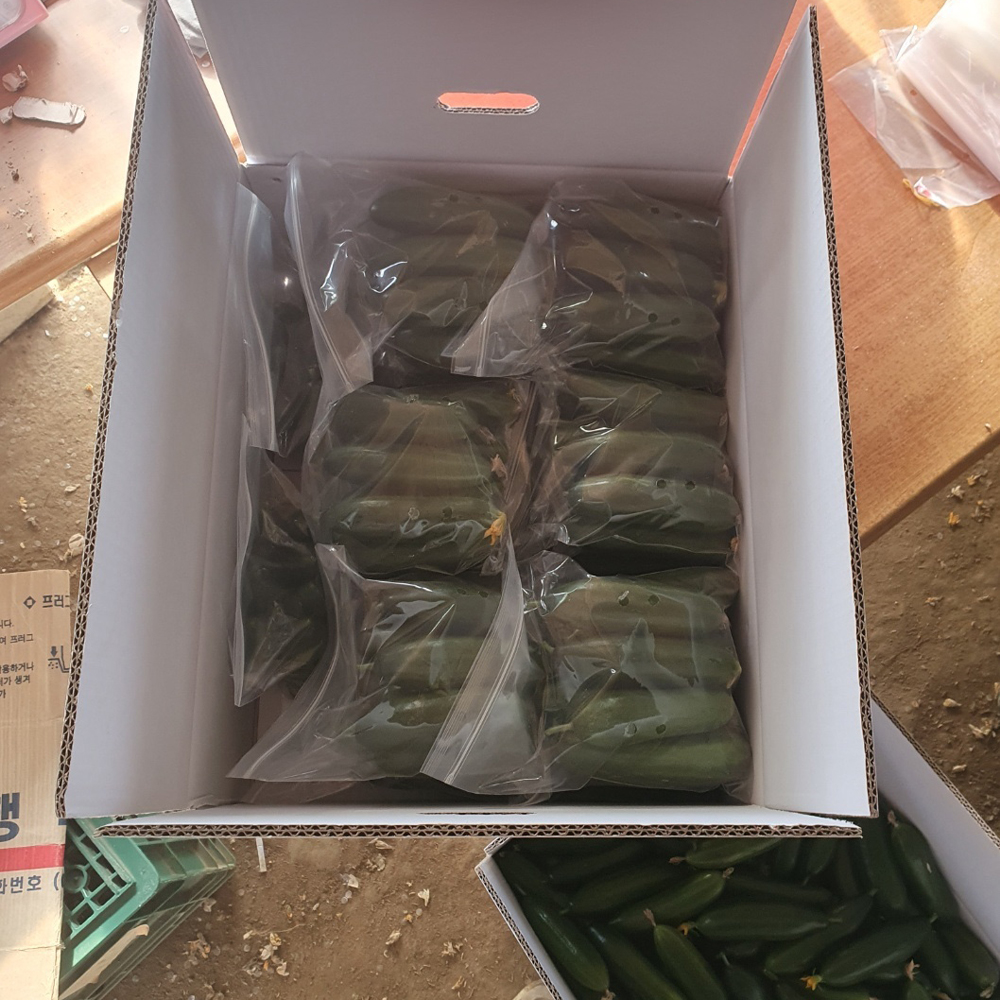 하우스재배 국산 미니오이 아삭달콤 신선채소 500g - 상세 이미지 4