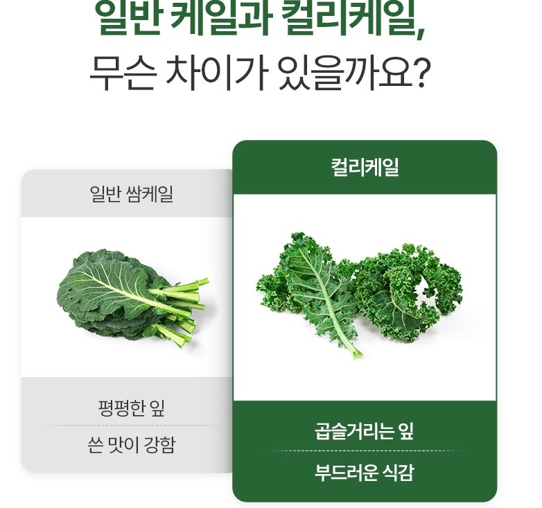 케일 동결건조 컬리케일 60정 2개 이미지 6