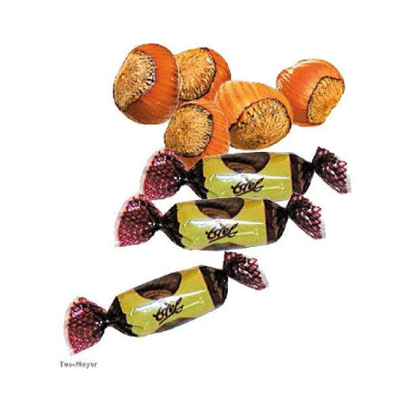 [해외]TEE MEYER 밀크 헤이즐넛 봉봉 맛 500g 티 마이어 [B007O6G2M8]