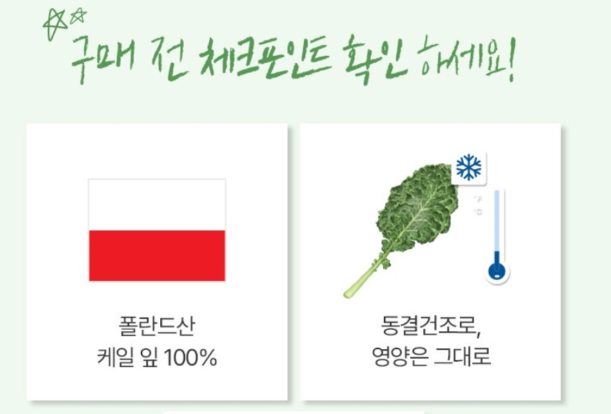 케일 동결건조 컬리케일 분말 60g - 상세 이미지 4