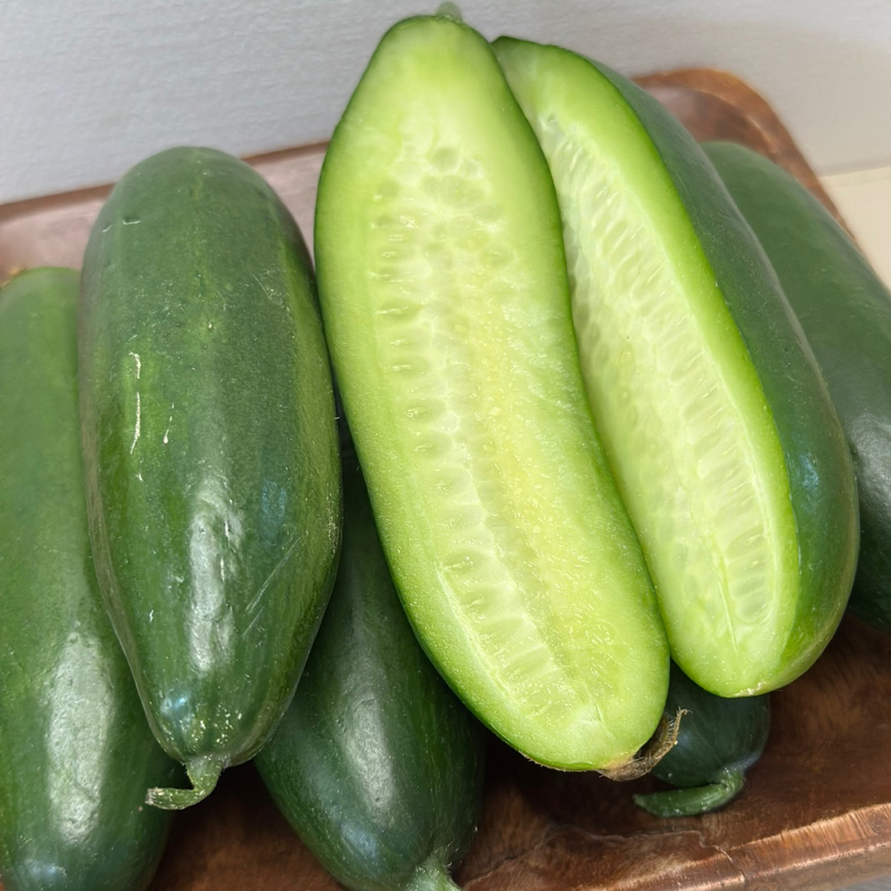 하우스재배 국산 미니오이 아삭달콤 신선채소 500g 이미지 6