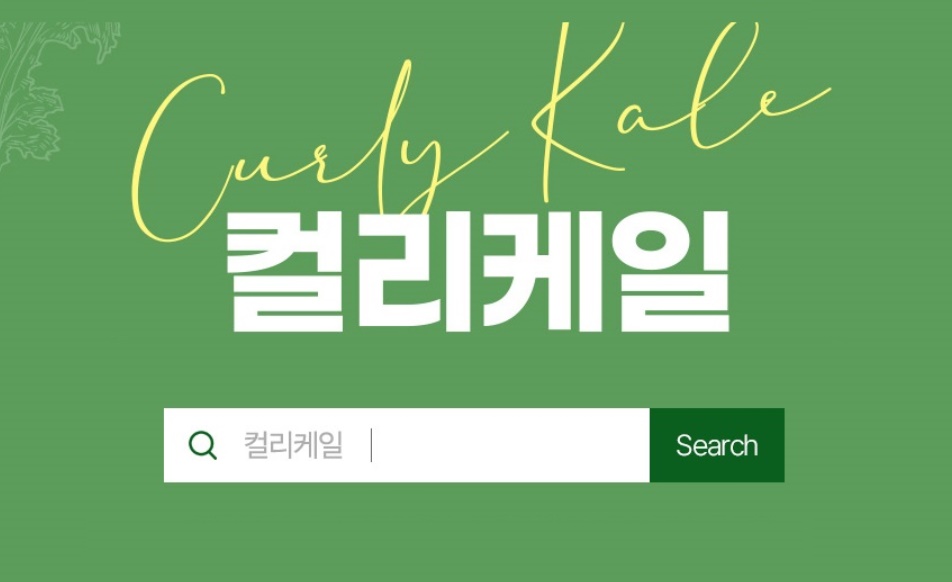 케일 동결건조 컬리케일 분말 60g 3개 - 상세 이미지 4