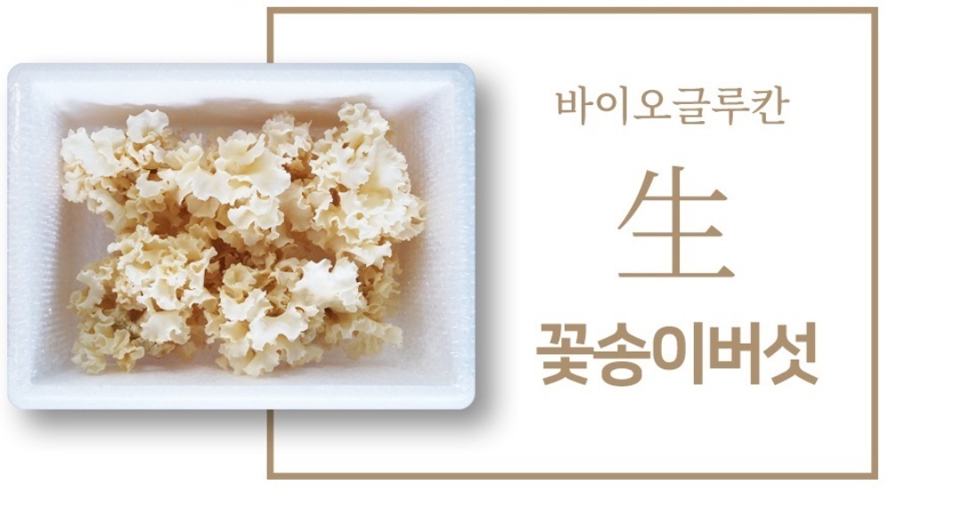 최상품 꽃송이버섯 생꽃송이버섯 1kg 2개 - 상세 이미지 4