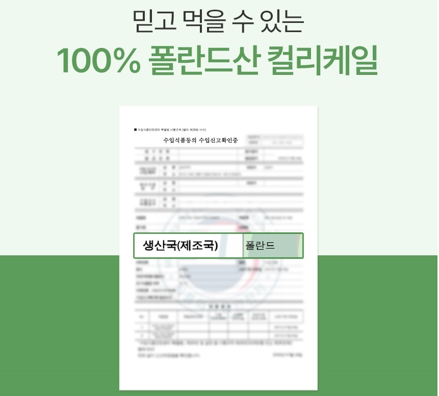 케일 동결건조 컬리케일 분말 60g 3개 이미지 6