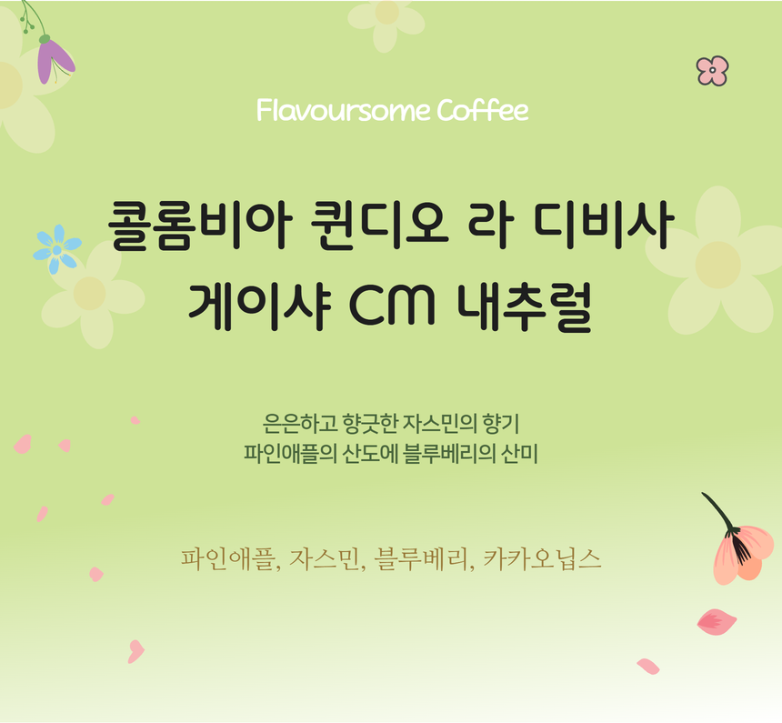 콜롬비아 퀸디오 라 디비사 게이샤 카보닉 메서레이션 내추럴 - 메인 이미지