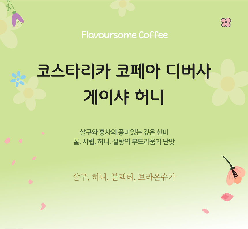 코스타리카 코페아 디버사 게이샤 허니 - 메인 이미지