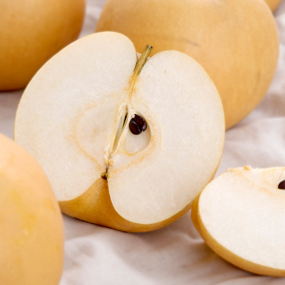 25년 햇 나주배 5kg 7.5kg 가정용 선물세트