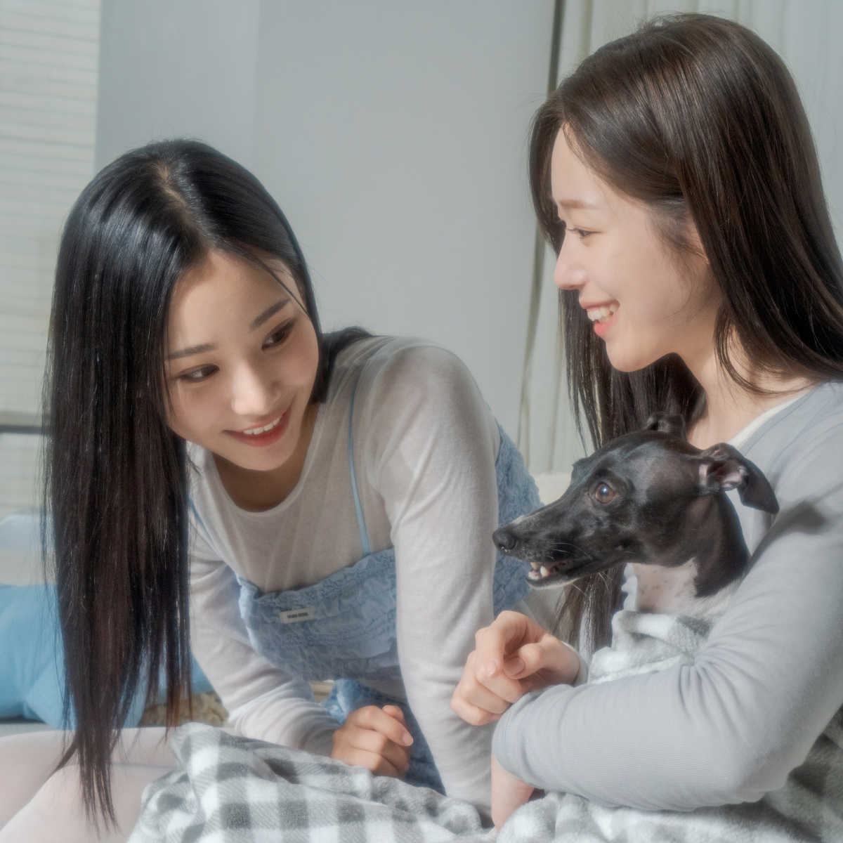 포인드 비건 손톱영양제 얇은손톱 강화제 2개 + 아세톤프리 비건 리무버 1개 SET 이미지 4