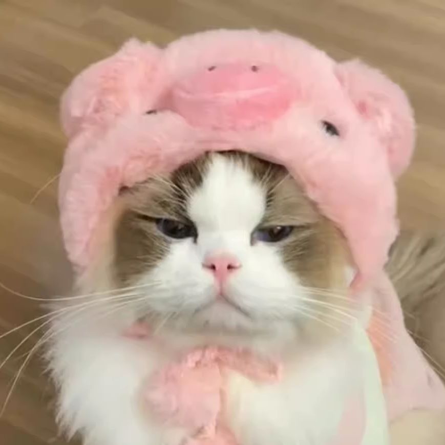 고양이 강아지 토끼 귀여운 사자 머리 모자 애완동물 헤드피스 코스프레 핑크 흔들리는 돼지 1.5~7.5kg 고양이와 강아지 공용