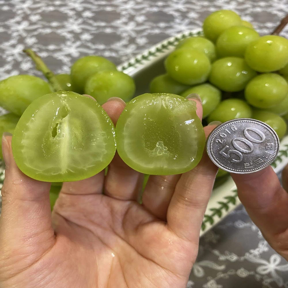 샤인머스캣 2kg 4kg 새벽농원 산지직송 당도보장 가정용 선물용 청포도 연말과일선물 - 상세 이미지 2