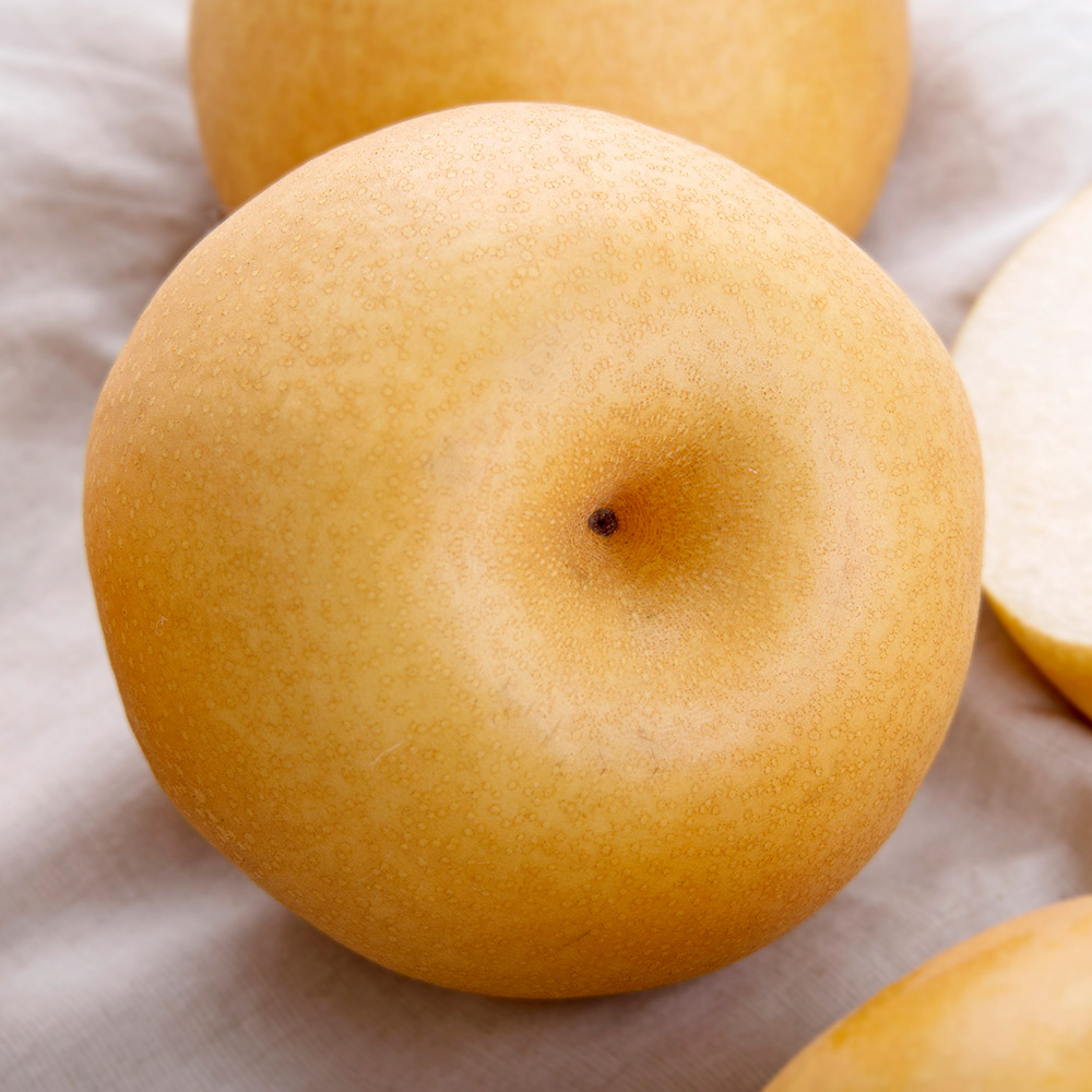 25년 햇 나주배 5kg 7.5kg 가정용 선물세트