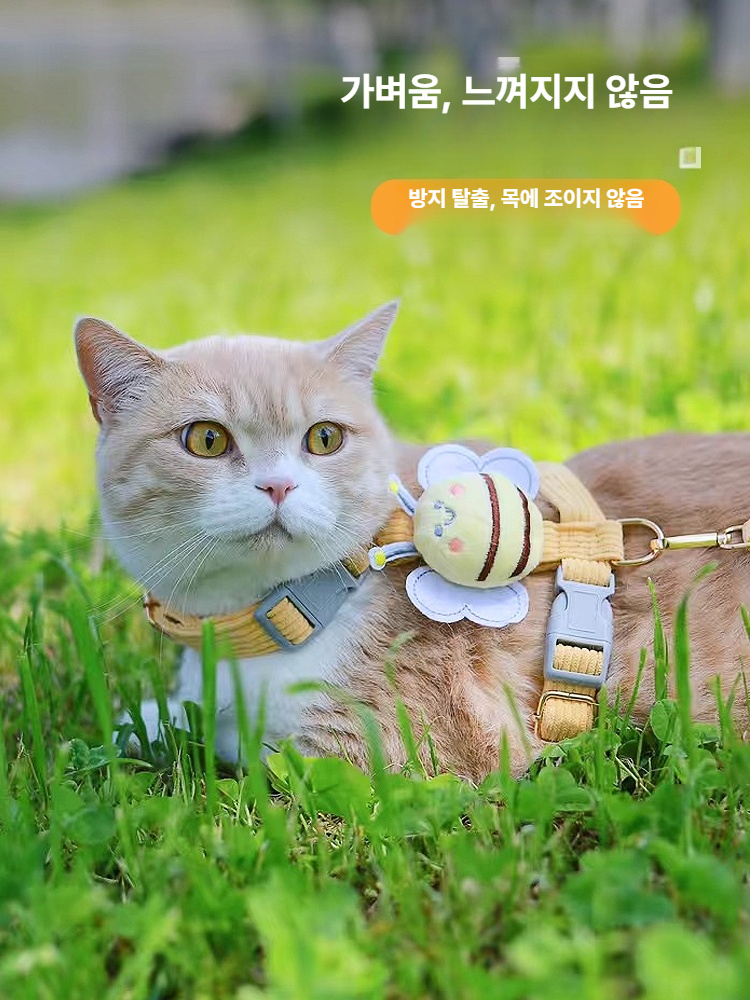 고양이 산책줄 목줄 토끼용 고양이줄 산책용 애완동물 캔버스베어 옐로우 S - 상세 이미지 2