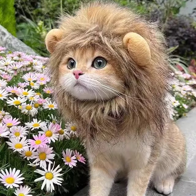 고양이 강아지 토끼 귀여운 사자 머리 모자 애완동물 헤드피스 코스프레 핑크 흔들리는 돼지 1.5~7.5kg 고양이와 강아지 공용