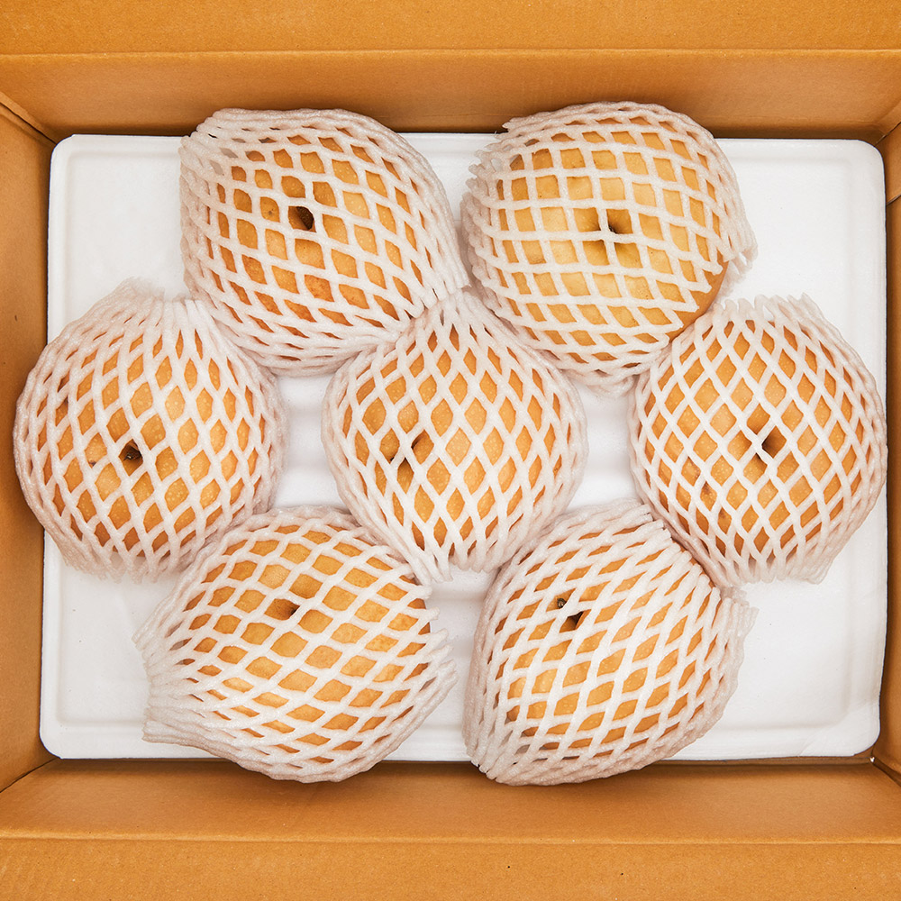 25년 햇 나주배 5kg 7.5kg 가정용 선물세트