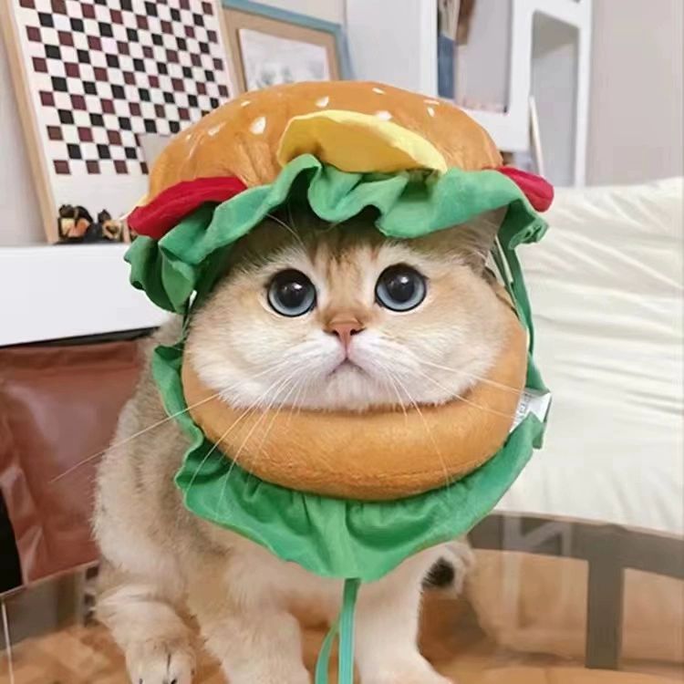 고양이 강아지 토끼 귀여운 사자 머리 모자 애완동물 헤드피스 코스프레 핑크 흔들리는 돼지 1.5~7.5kg 고양이와 강아지 공용