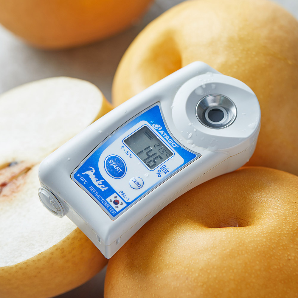 25년 햇 나주배 5kg 7.5kg 가정용 선물세트