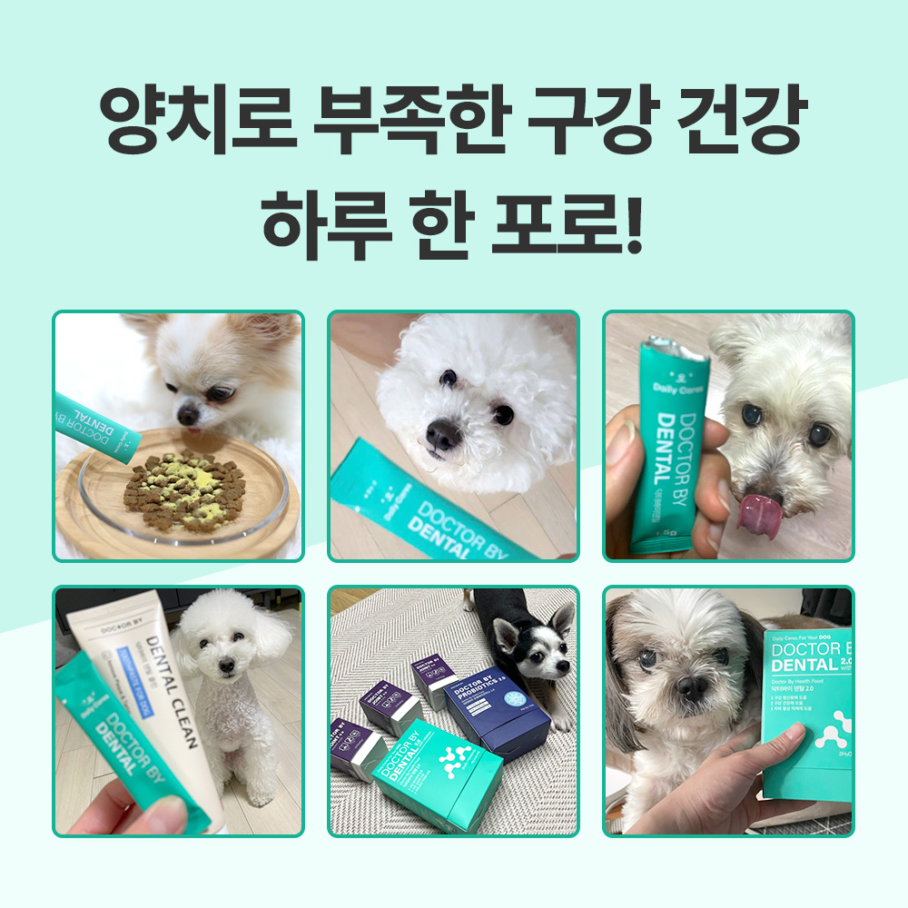 닥터바이 덴탈 강아지 구강영양제 치석 입냄새 파우더 30포, 1개 - 상세 이미지 3