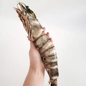 킹타이거새우 2마리 (1+1) 블랙타이거 블랙킹 자연산 대왕 새우장용도 맛있게 먹은 솔직 후기 - 상품 이미지 4