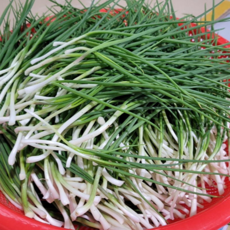 자연가득 통영 노지 흙쪽파 깐쪽파 500g-3kg - 상세 이미지 2