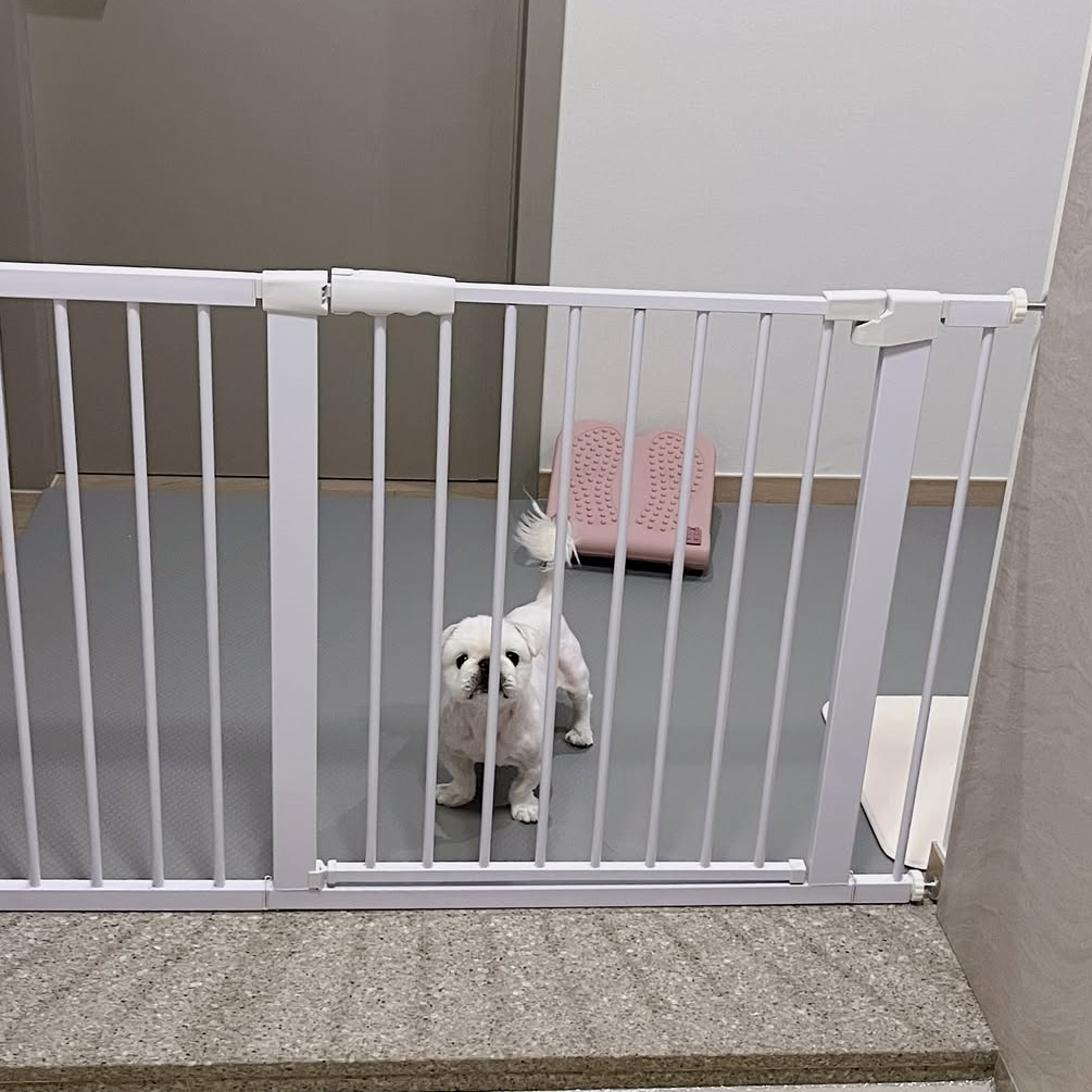 아토주 강아지 애견 고양이 반려견 대형견 개 울타리 펜스 제품 이미지