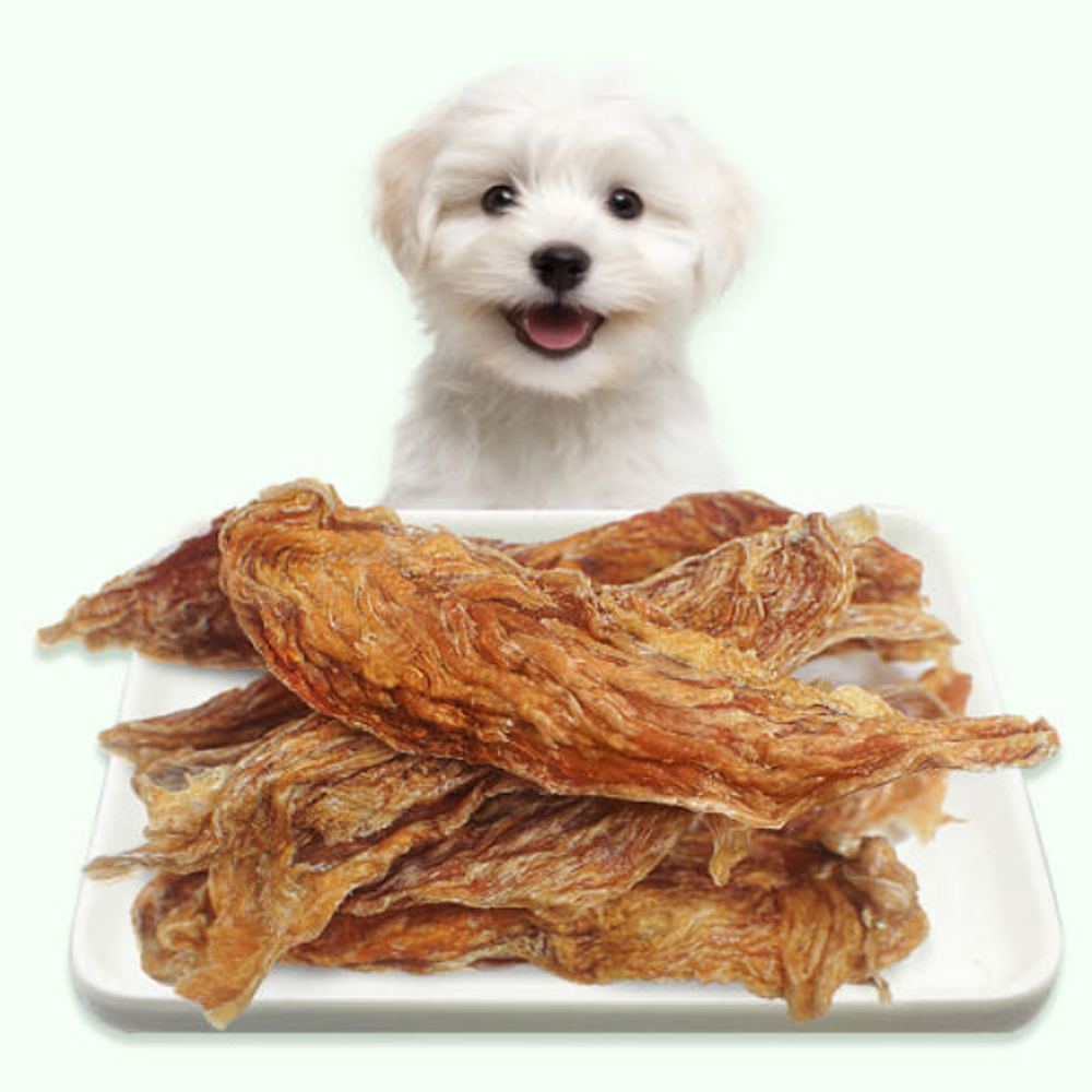 국내산 치킨 안심 육포 강아지 간식 영양식 닭고기 애견 수제 간식 닭안심, 70g, 1개