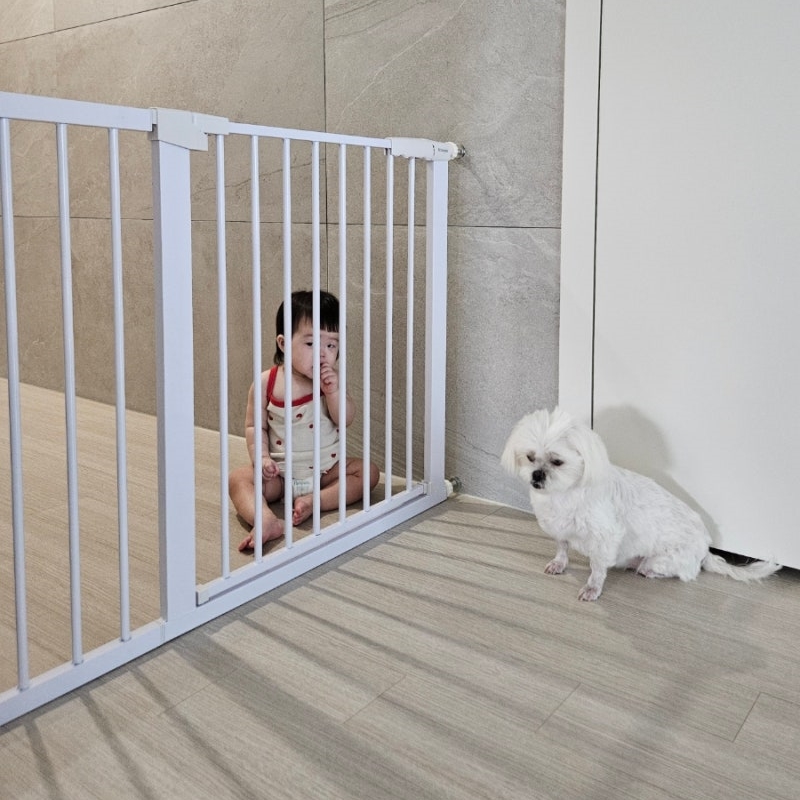 비더프리 스마트 안전문 강아지 애견 반려견 대형견 고양이 안전문 펫도어 펜스 문 방묘문