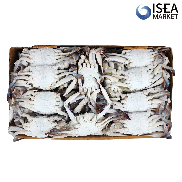 서해안 냉동 꽃게 10kg(벌크) 선동 암꽃게 숫꽃게 벌크 업소용 대용량 - 상세 이미지 2