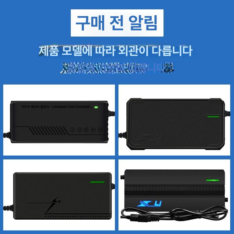 전동킥보드 리튬이온 급속충전기 납산 어댑터 인터페이스 출력 스쿠터 경량 급속 스쿠터용 48V 3.2A 30AH Y-커넥터 - 상세 이미지 4