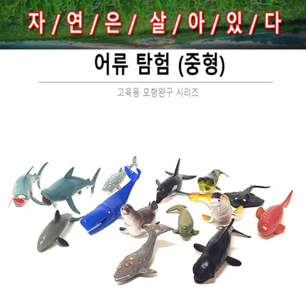 범고래 바다동물피규어세트 물개 해양동물장난감 EQ - 상세 이미지 2