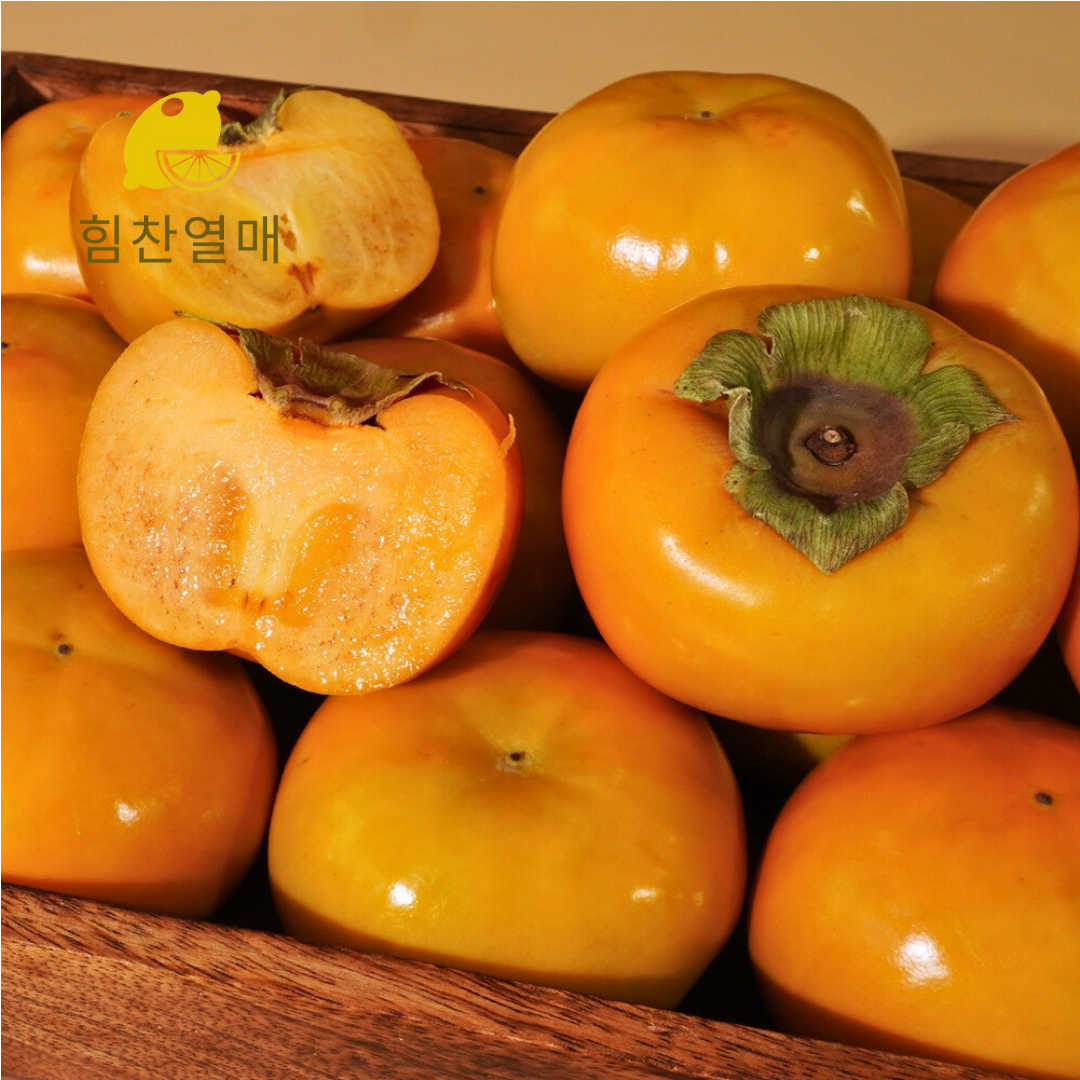 힘찬열매 부유단감 상서 태추 창원 진영 햇 단감 2kg 3kg 5kg - 상세 이미지 5