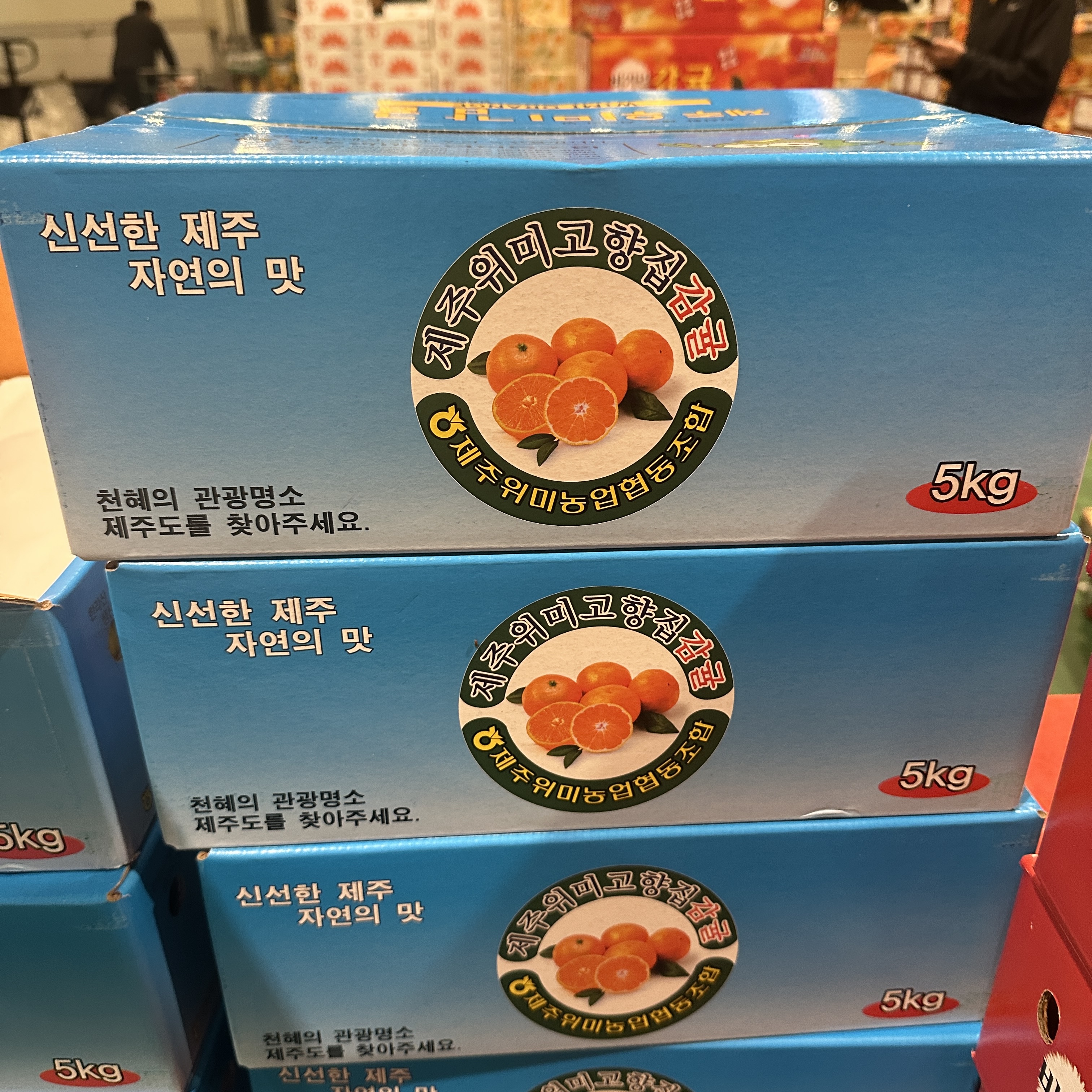 새벽경매 하우스 감귤 13Brix, 5kg, 1개 - 상세 이미지 2