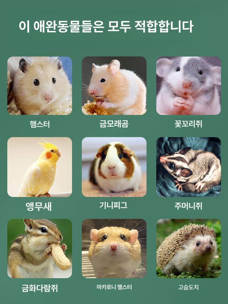 자동 햄스터 급식기 옥수수 사료 공급기 반려동물 먹이 대용량 자동급식 햄스터 자동 급식기 300ml - 상세 이미지 5
