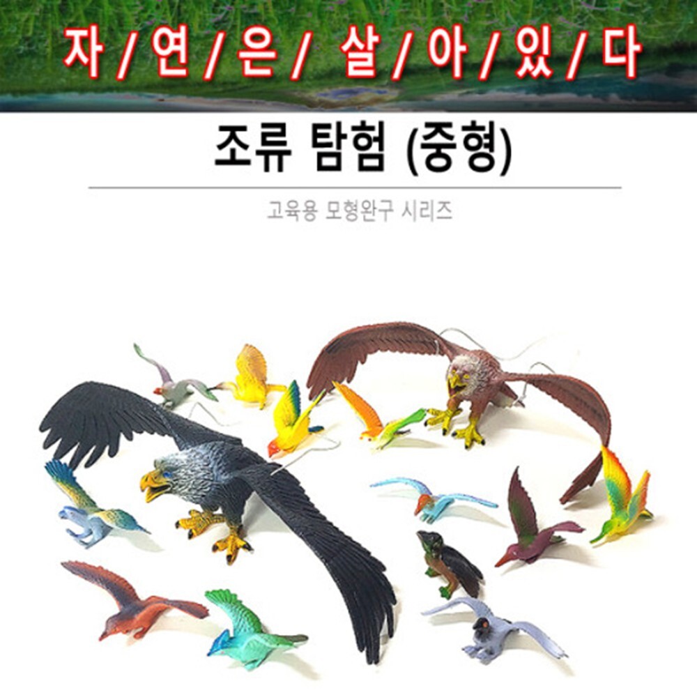 조류장난감 새 동물모형세트 독수리장난감 피규어 EQ - 상세 이미지 2