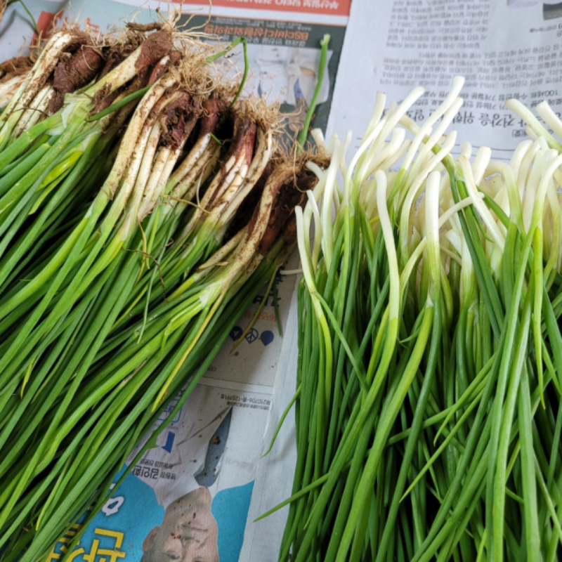 자연가득 통영 노지 흙쪽파 깐쪽파 500g-3kg - 메인 이미지