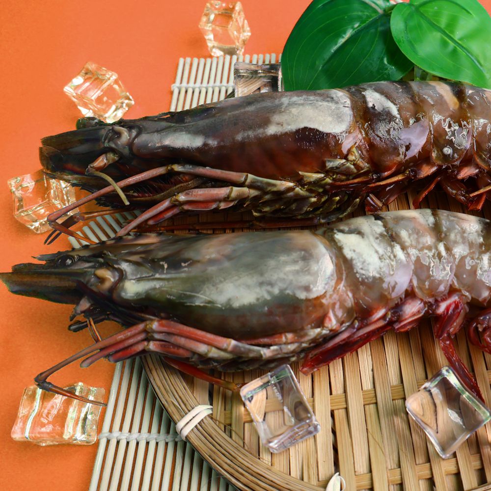 킹타이거새우 1kg 블랙타이거 3미 8미 블랙킹 자연산 대왕 새우장용도 이미지 3