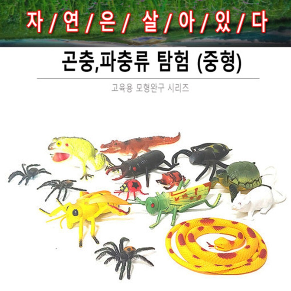 교육용 파충류장난감 곤충모형완구 세트 IQ 애니멀 EQ - 상세 이미지 2