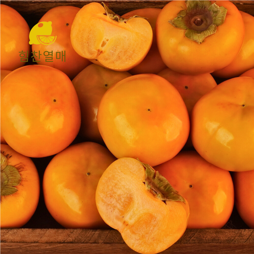 힘찬열매 부유단감 상서 태추 창원 진영 햇 단감 2kg 3kg 5kg - 상세 이미지 3