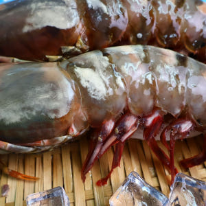 킹타이거새우 2마리 (1+1) 블랙타이거 블랙킹 자연산 대왕 새우장용도 맛있게 먹은 솔직 후기 - 상품 이미지 3