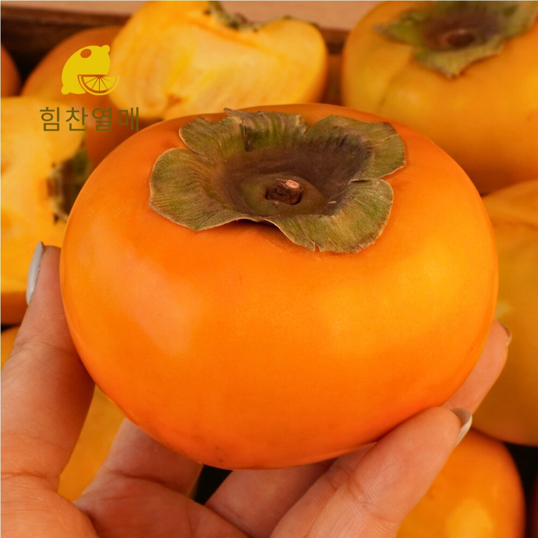 힘찬열매 부유단감 상서 태추 창원 진영 햇 단감 2kg 3kg 5kg - 상세 이미지 2