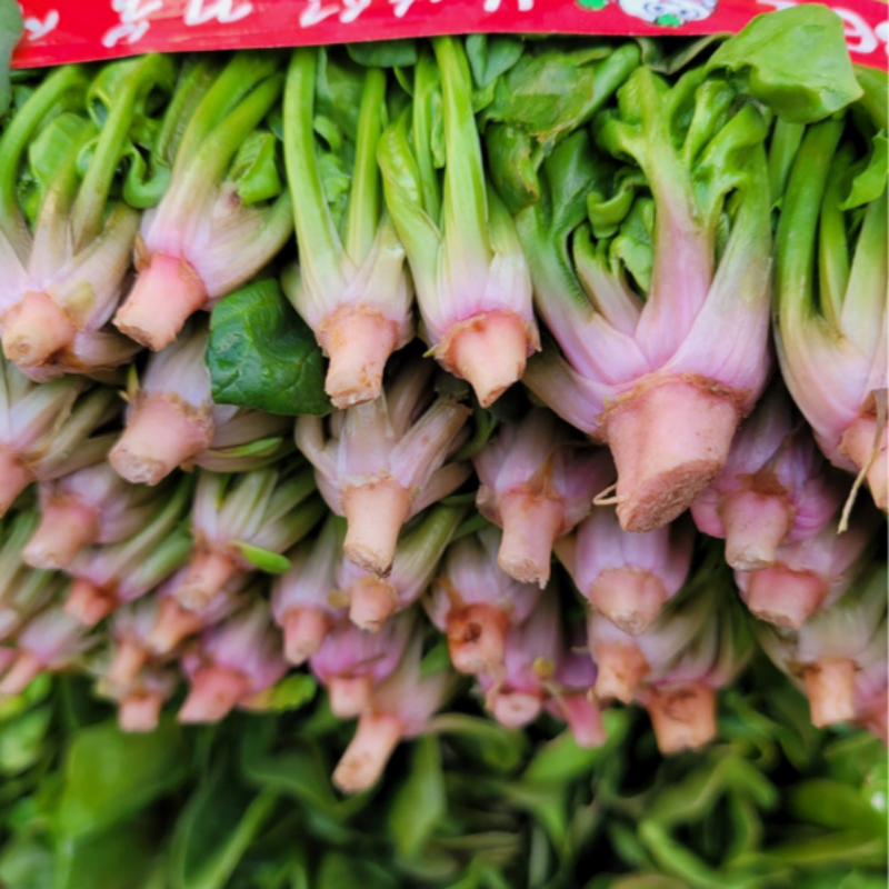 자연가득 남해 노지 시금치 400g-2kg - 상세 이미지 3