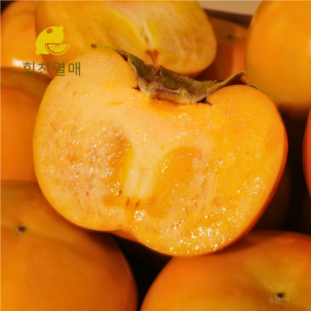 힘찬열매 부유단감 상서 태추 창원 진영 햇 단감 2kg 3kg 5kg - 상세 이미지 4