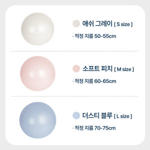 스케쳐스 짐볼 안티버스트 요가 필라테스 임산부 75cm, 더스티블루 운동러 솔직 후기 | 실사용 리뷰 - 상품 이미지 2